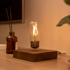 Floating Lightbulb (Square)