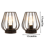 Metal Cage Lamp - Set of 2
