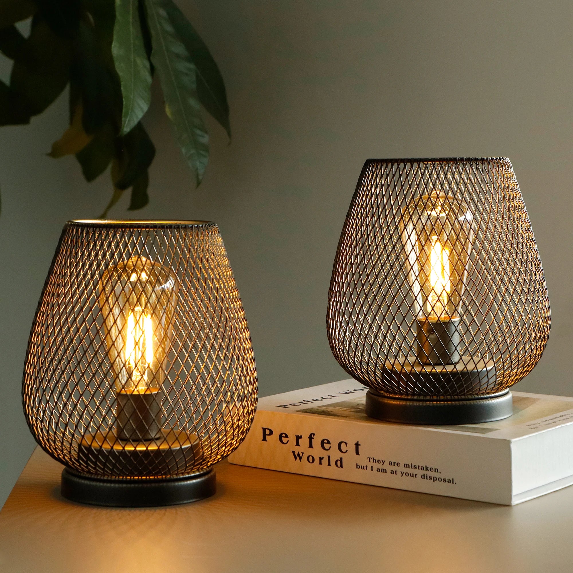 Birdcage Lamp - Set of 2